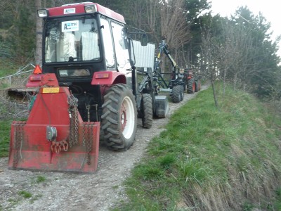 auf gehts in den Wald